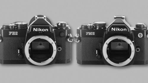 作例レビュー】Nikon FM2｜ニコンのフィルムカメラ #わたしのカメラ