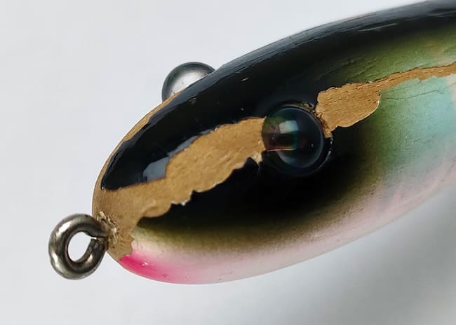 大柄ボディなのに実はテクニシャンな壁ツンの貴公子 テラー5/8oz