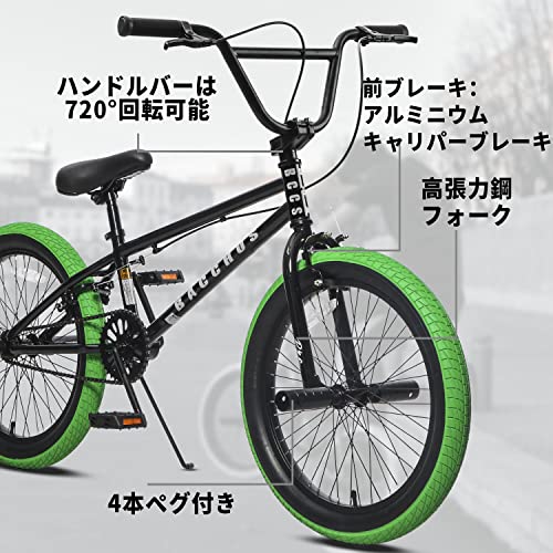 AVASTA Bacchus BMX自転車 20インチ フリースタイルBMXバイク スチール