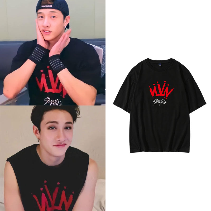 STRAY KIDS BANGCHAN CHANGBIN THE VICTORY SKZOO T-SHIRT – IDOLS FASHION