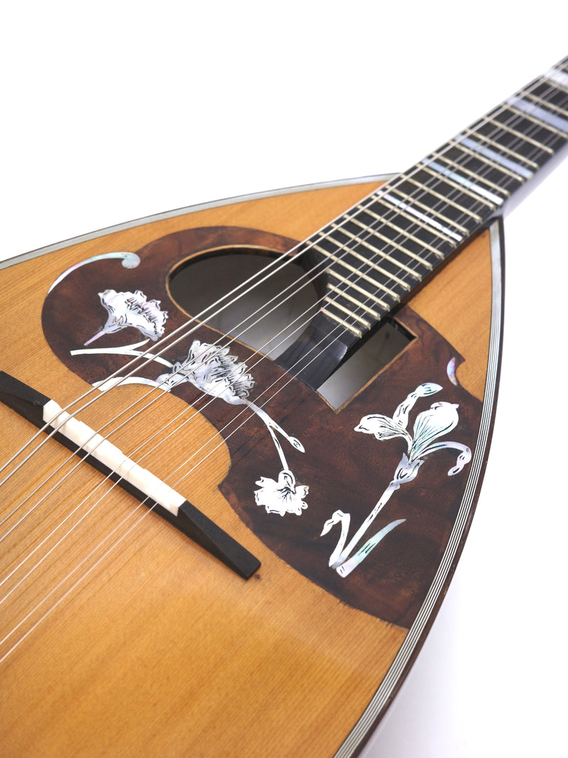 超希少！アイバニーズ 524ヴィンテージマンドリン！ Ibanez