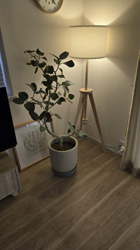 リビングにIKEAのフロアランプ「LAUTERSラウテルス」を買ってみた