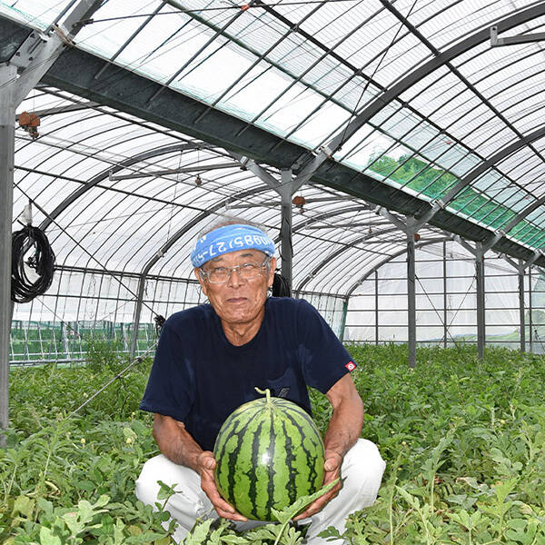 スイカ(8kg級）：宮崎県産の果物｜食べチョク｜産地直送(産直)お