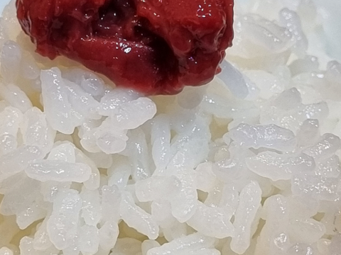 無添加】昔ながらの すっぱい自然の味! おかあちゃんの梅干ペースト