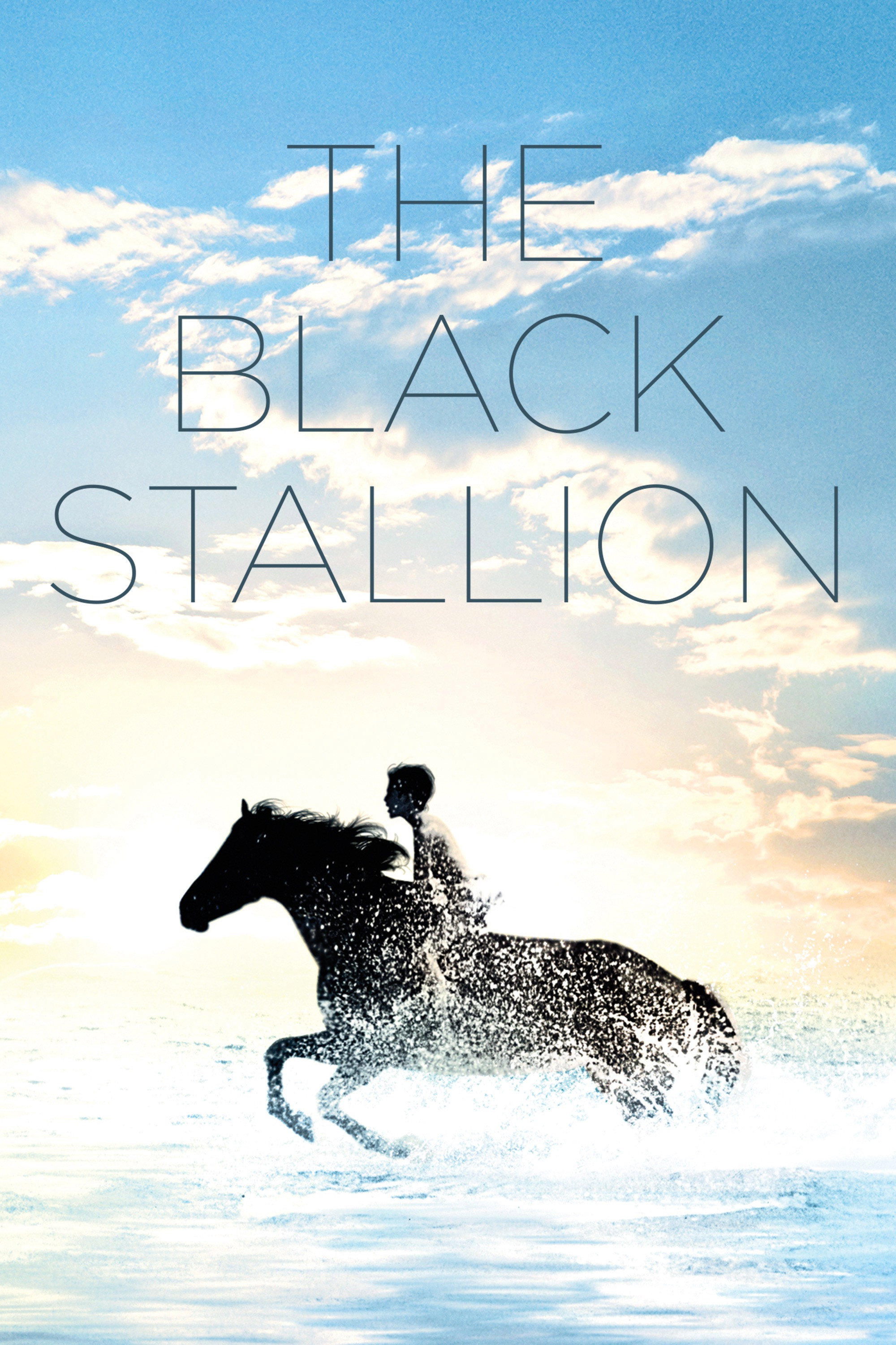 The Black Stallion (1979) - Posters — The Movie Database (TMDB)