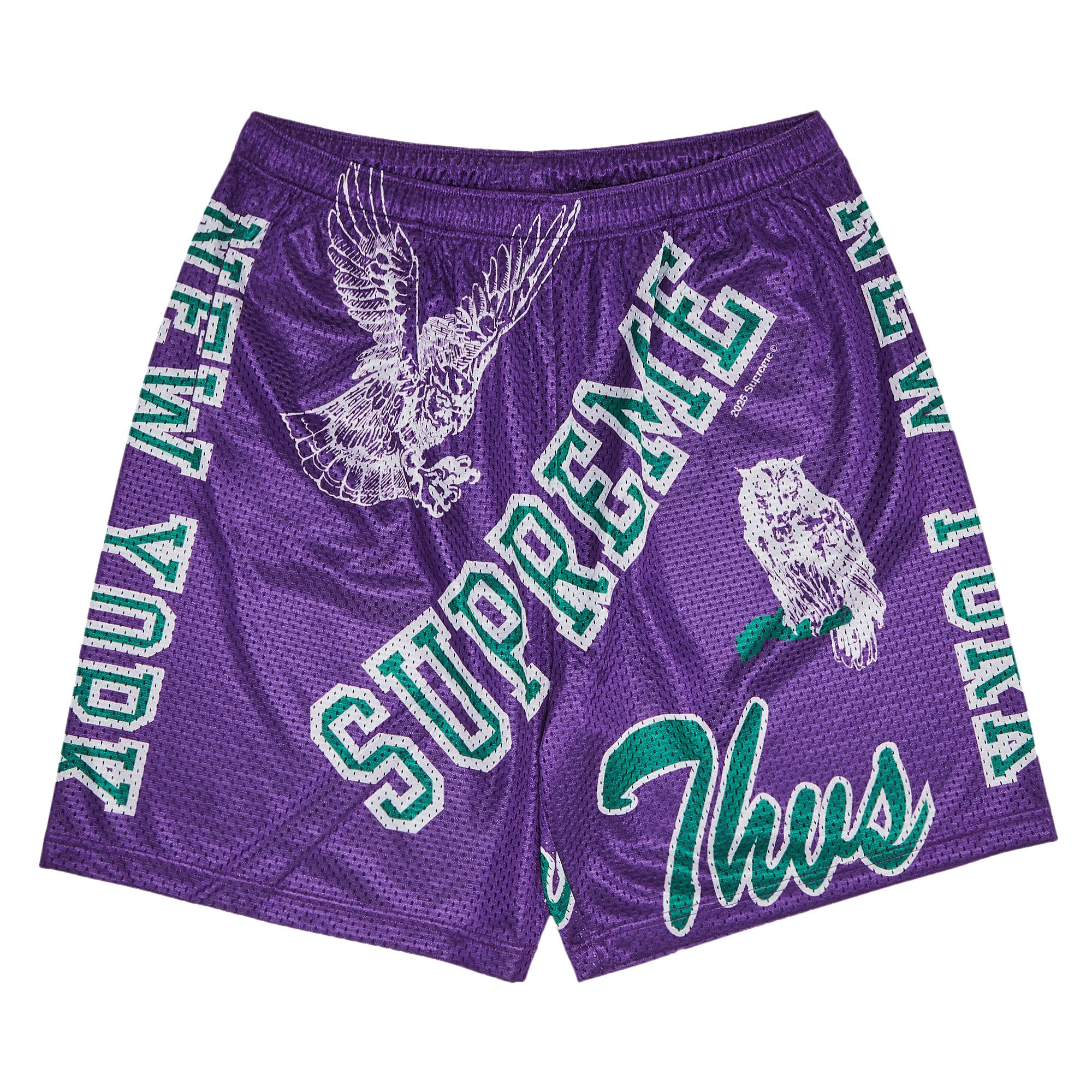 Buy Supreme Varsity Mesh Short 'Purple' - SS25SH41 PURPLE | GOAT