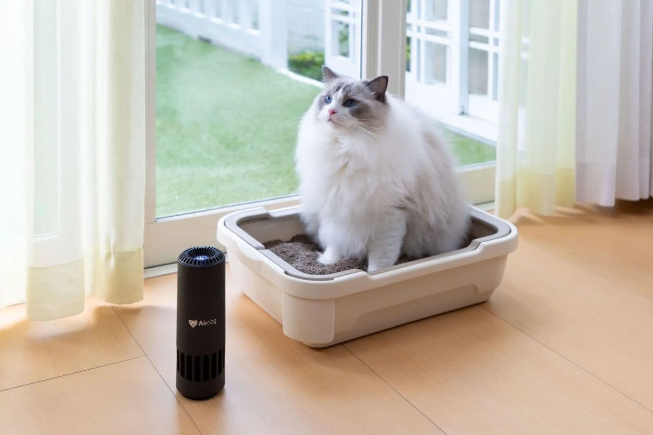持ち運べる空気清浄機「Airdog mini（エアドッグ ミニ）」静音モード