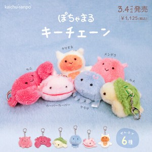 楽天市場】new【即日発送】海中散歩 ぽちゃまるぬいぐるみ キー