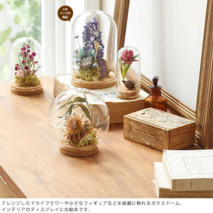 楽天市場】ガラスドーム ウィズコルク 直径10×高さ16cm コレクション