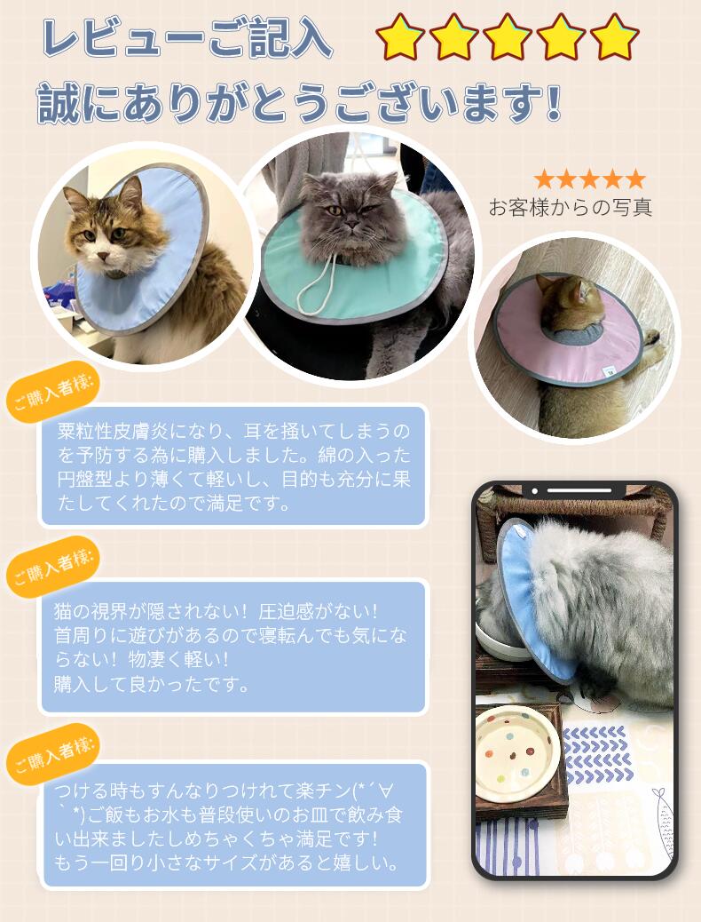 ra10211-ms.jpg