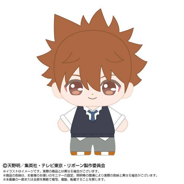 家庭教師ヒットマンREBORN! ぷりぬいたっちどりーむみに 沢田綱吉