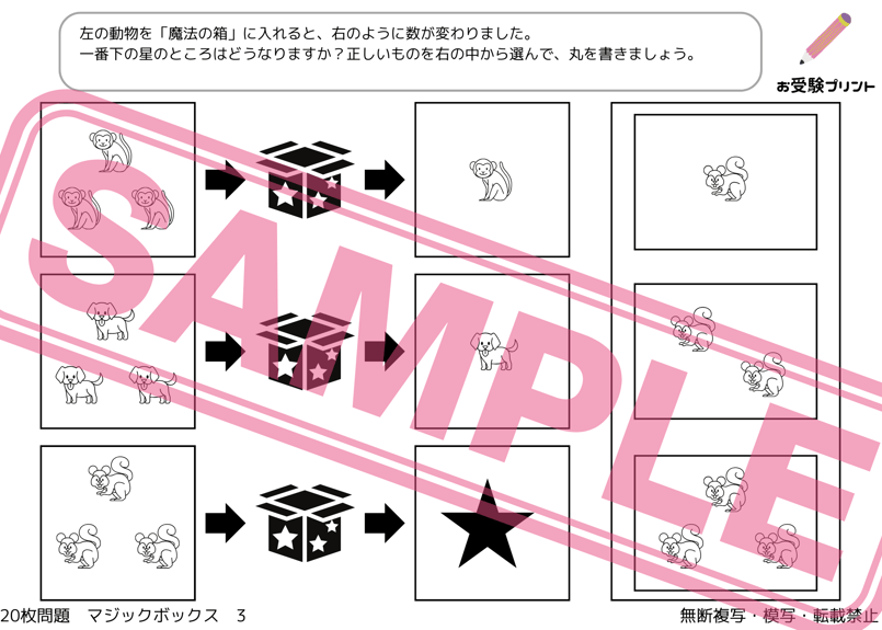小学校受験：ペーパー対策】理解度確認用「魔法の箱/マジックボックス