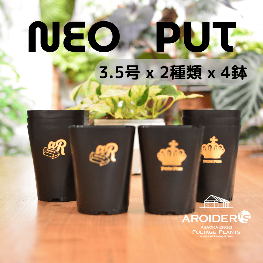 シカゴ・ブラックホークス パター(木製限定記念品