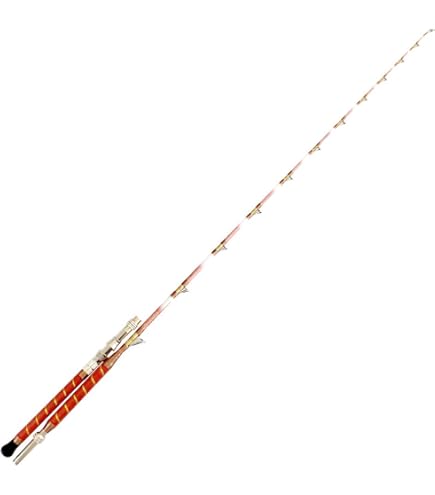 Amazon | 伝衛門丸 旭舷 LIVE BAIT GAME-GR 240M | タカミヤ(TAKAMIYA