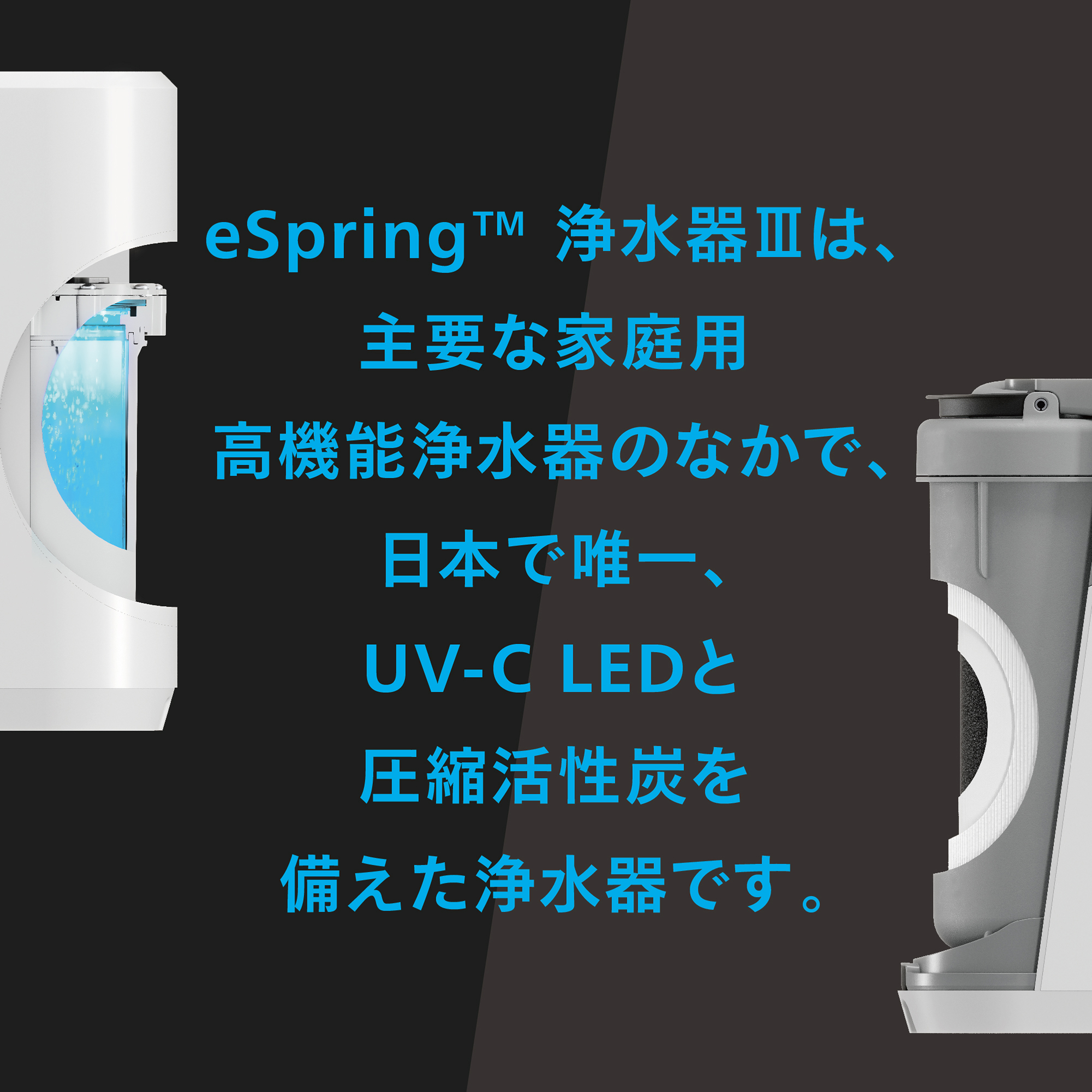 浄水器Ⅲ ビルトイン型 交換用フィルター定期配送付き) ：Amway(日本