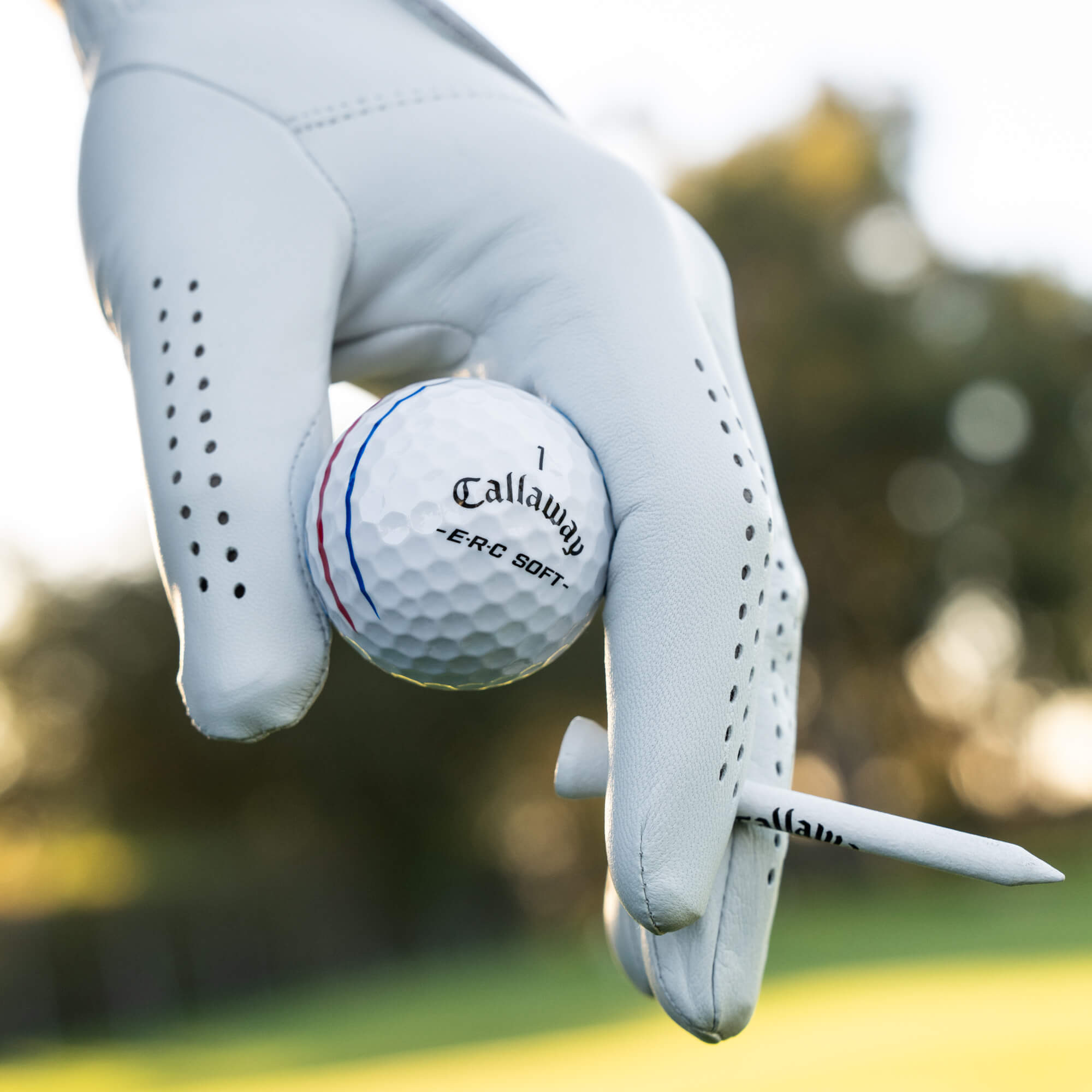 E•R•C Soft Golf Balls