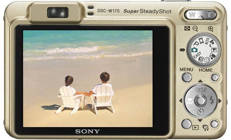 Sony Cyber-shot DSC-W170 (Gold) 10.1-megapixel digital camera with