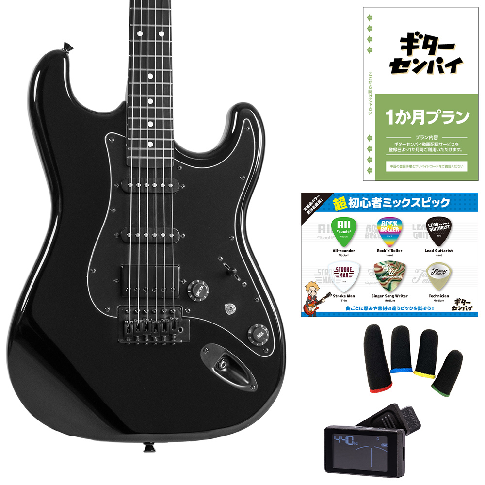 Eris. Nestia 超初心者セット オールブラック ローステッドメイプル
