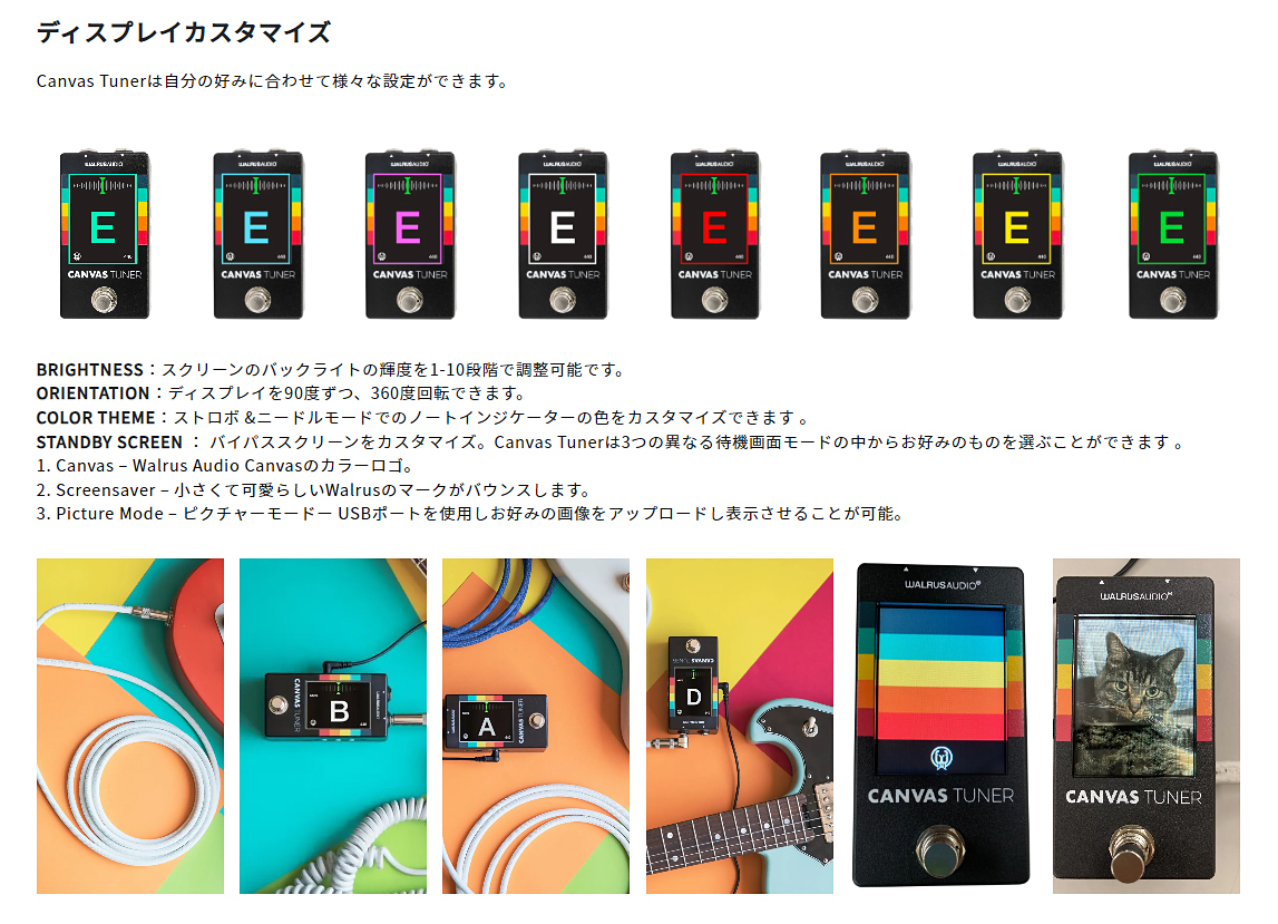WALRUS AUDIO Canvas Tuner 《高精度チューナー》【WEBショップ限定