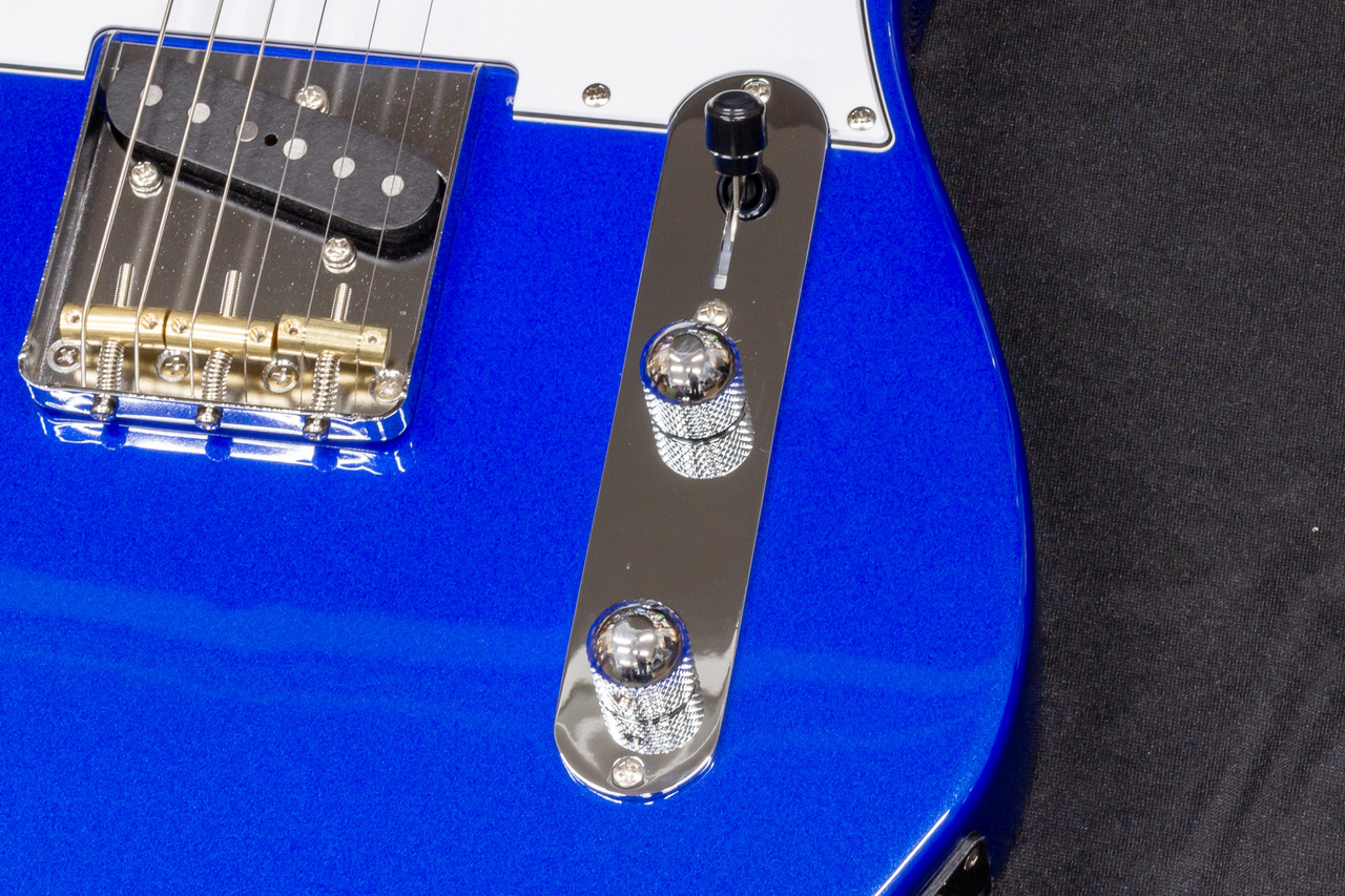 FUJIGEN(FGN) BCTE100RBD-MBL/01 C240281 3.33kg【TONIQ横浜】（B級