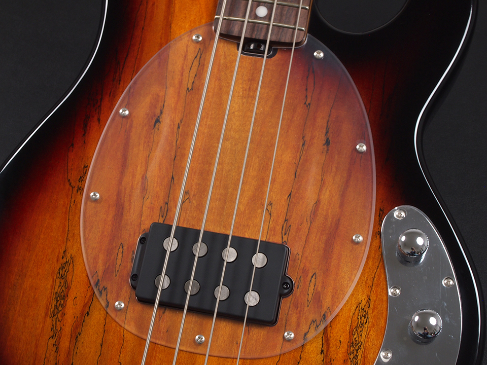 Sterling by MUSIC MAN STINGRAY 4 RAY34 Maple Top ~3 Tone Sunburst