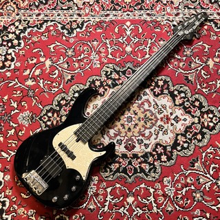 Modulusの検索結果【楽器検索デジマート】