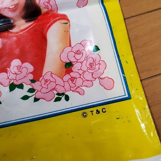 ピンク・レディー 昭和アイドル 写真 ビニールバックの通販 by はち's