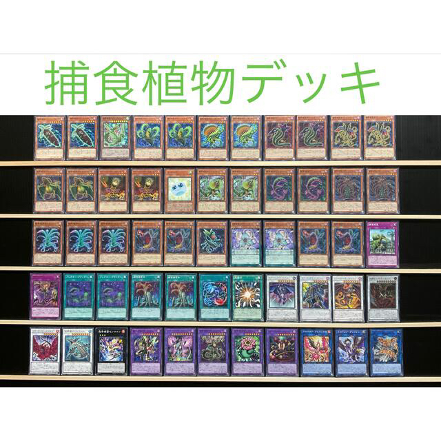 遊戯王デッキ 捕食植物デッキ ガチ構築 【公式通販】