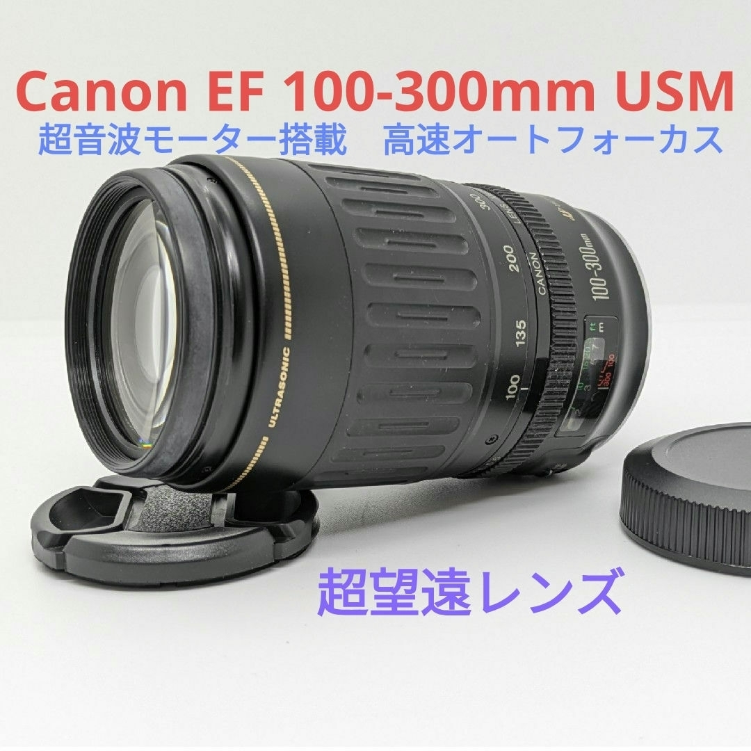 Canon - 1月15日限定価格♪Canon EF 100-300mm USMの通販 by こっぴぃ