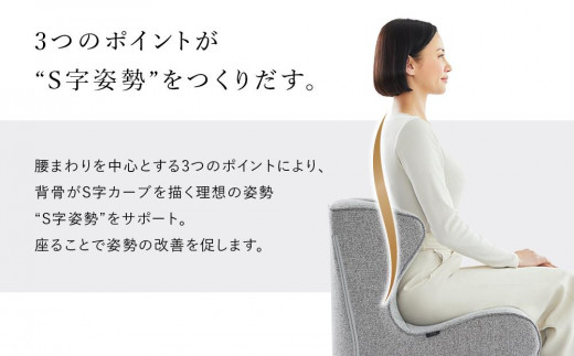 Style Chair DC | スタイルチェア ディーシー 姿勢 骨盤 健康 椅子