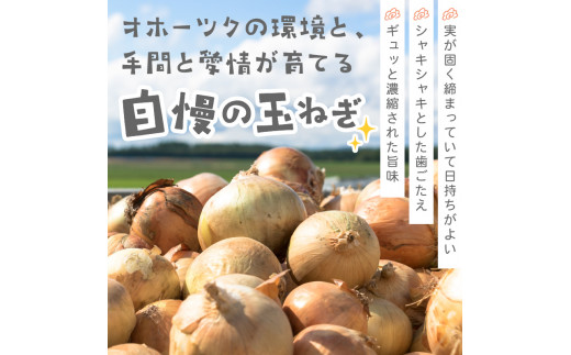 2025年9月中お届け】北海道北見産 玉ねぎ 15kg ( 野菜 たまねぎ
