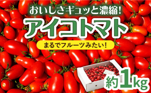 トマト【2026年1月～発送】【完熟ミニトマト】アイコトマト 約1kg