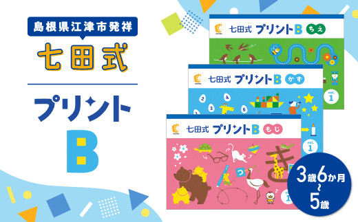 江津市限定返礼品】七田式プリントC 4歳半～6歳 C-51｜しちだ 七田式