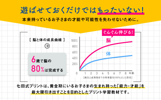 江津市限定返礼品】七田式プリントA 2歳半～4歳 SC-49｜しちだ 七田式
