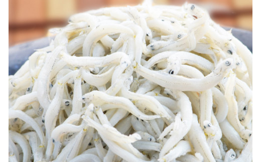 釜揚げしらす しらす干し 交互 定期便 (1kg×4か月) 天然 ふっくら 大洗
