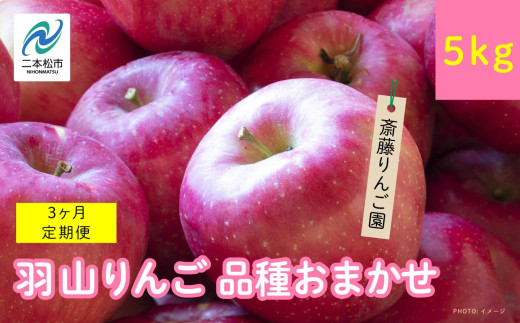 斎藤りんご園のお礼の品 - 福島県二本松市| ふるさと納税 [ふるさと