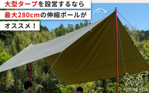 FUTURE FOX 伸縮ポール 新型 十二角形型 2本セット［FF27