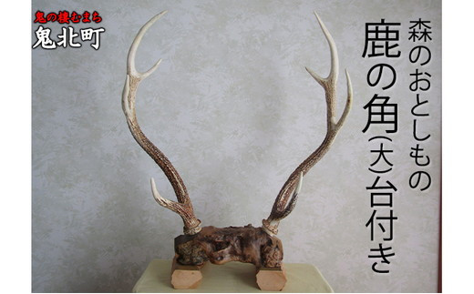 森のおとしもの(1)鹿の角（大1本）＜インテリア 民芸品 工芸品