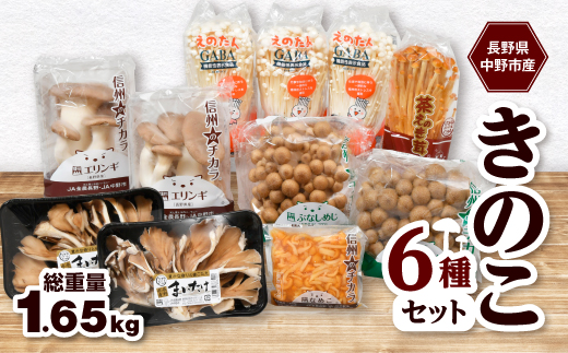 JA中野市産地直送!6種11パック入りきのこセット＜中野市特産きのこ