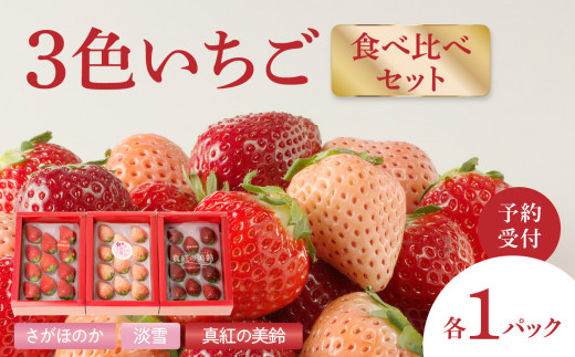 ☆予約受付☆杉山いちご農園 豪華！3色いちご食べ比べセット 2026年1月