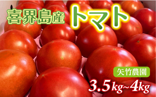 喜界町産トマト3.5kg~4.0kg 矢竹農園 - 鹿児島県喜界町｜ふるさと