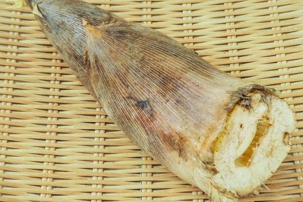 破竹（はちく）（16本サイズ） 【業務用食材の仕入れなら八面六臂】