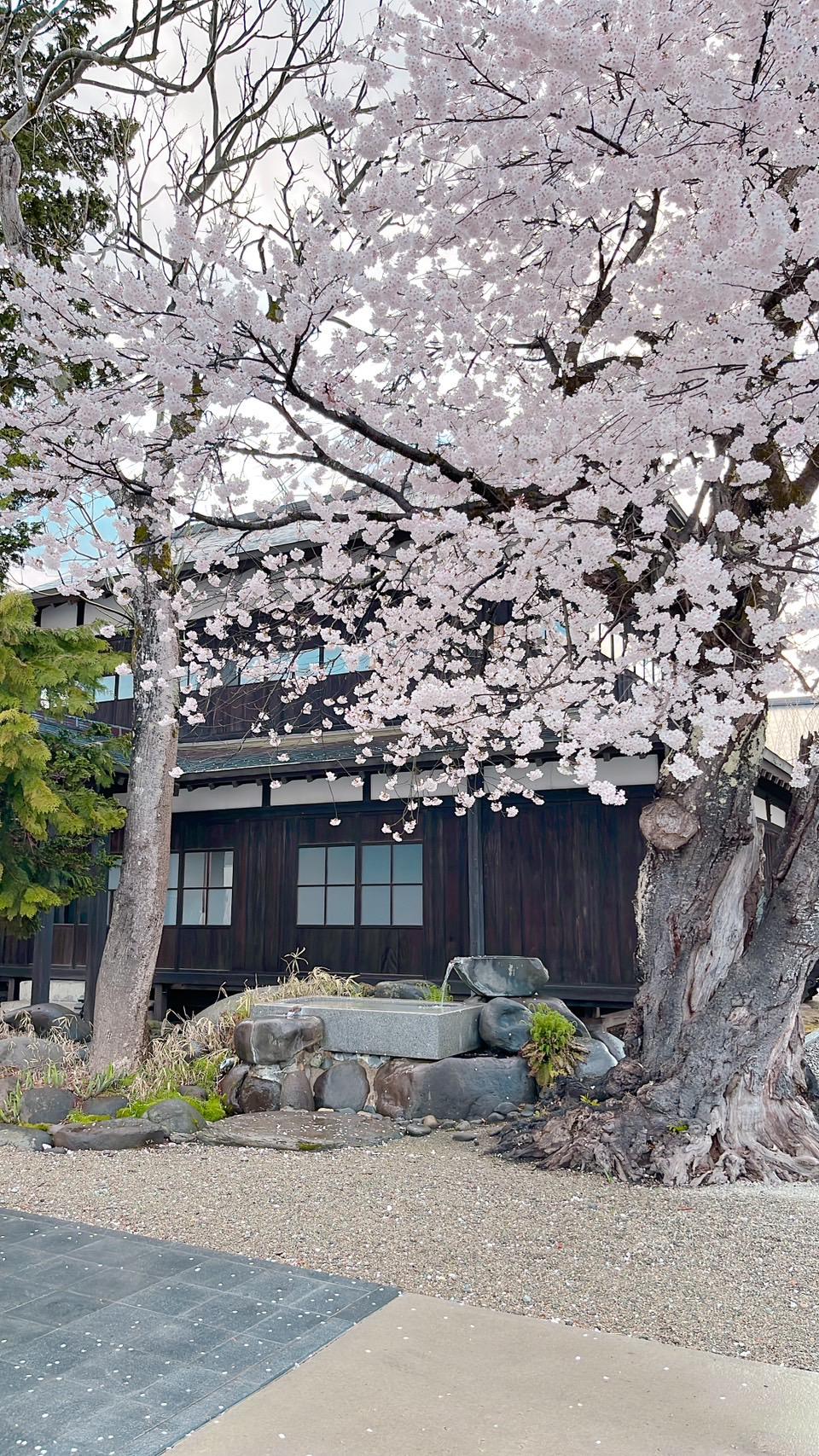 十四代 吟撰 | Sakenomy - 日本酒を知り、日本を知る