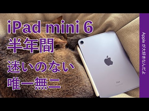 iPad mini 2021 (第6世代) 訳あり・ジャンク 26,500円 | ネット最安値
