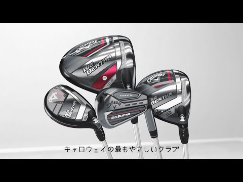アイアン 5本セット ビックバーサ BIG BERTHA Irons #6～9、PW