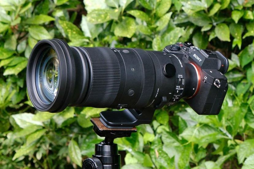 光学10倍の高倍率超望遠ズーム！ シグマ「60-600mm F4.5-6.3 DG DN OS