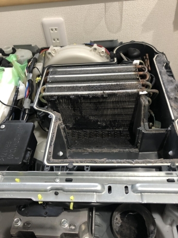 ドラム式洗濯機分解クリーニング パナソニックNA-VX9900L | おそうじ