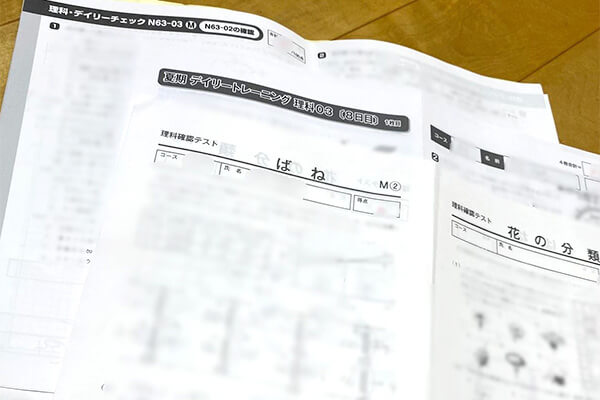 6年 夏期算数 デイリーチェック レベルH サピックス6年生、夏期講習の