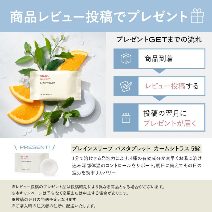 ブレインスリープ 持ち運び枕 ピロー ポータブル 携帯枕 旅行 ネック