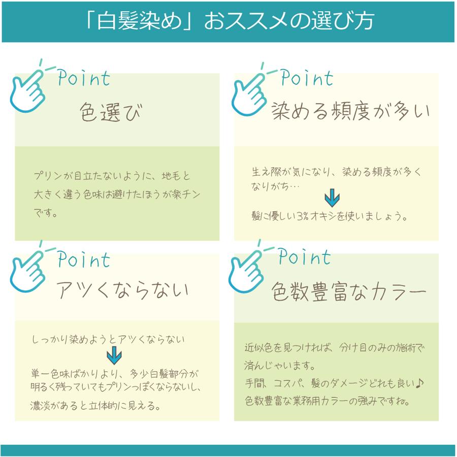 napla（ナプラ） ケアテクト OG カラー 白髪染め グレイファッション